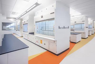 市場(chǎng)監(jiān)管總局辦公廳關(guān)于打擊食品中非法添加比沙可啶及其系列衍生物違法行為的通知